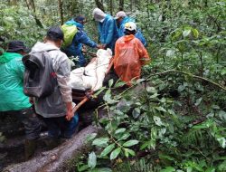 Evakuasi Sukses Pendaki Cedera Gunung Kerinci oleh Tim SAR Gabungan