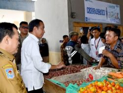 Presiden Kunjungi Beberapa Pasar di Jambi, Pastikan Stok Pangan dan Beras Tercukupi
